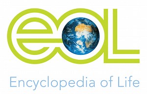 Enter E.O. Wilson’s Encyclopedia of Life: Free Access to All The World’s Knowledge About Life