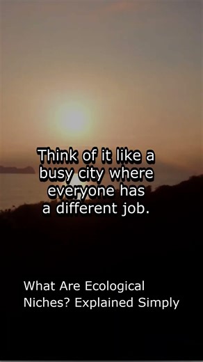 What Are Ecological Niches? Explained Simply