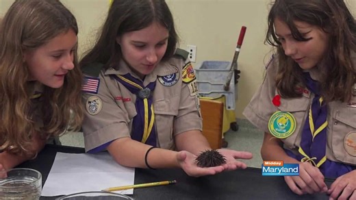 Baltimore area Cub Scouts are recruiting now!