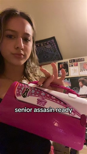 i have other guns but this ones so cute