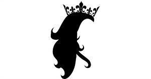 Tap In Extensions aus Echthaar günstig