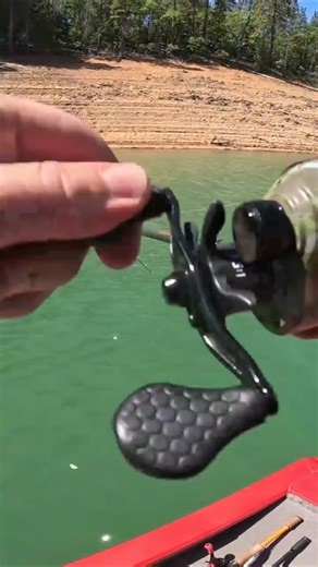 🎣 Flutter Spoon for Largemouth Bass