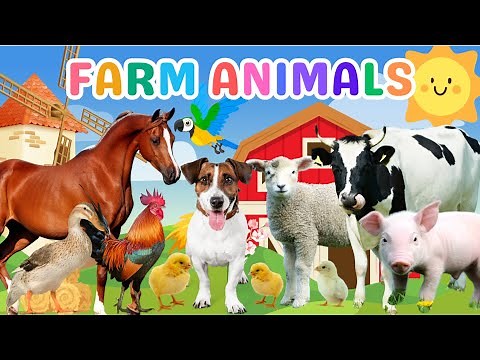 Names of Farm Animals!