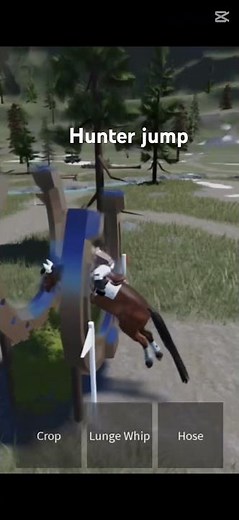 (Jumping hunter course ) #horseriding #horse #huntercourse #strideway