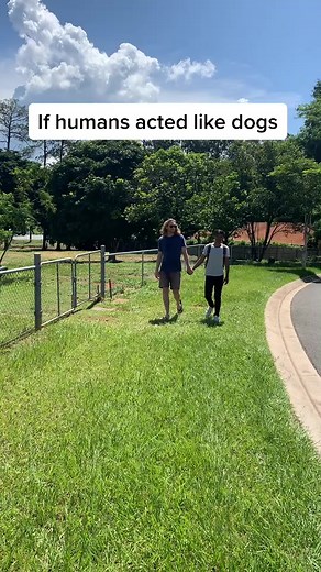 If humans acted like dogs... #martyandmichael #dog #ifhumansactedlikedogs #funny #comedy #fyp #4u #dogs