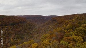 Vibrant fall foliage at Whitaker Point in the Ozark National Forest Arkansas