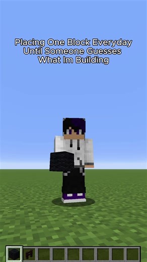Placing One Block Everyday Until Someone Guesses What I'm Building #minecraft #shorts