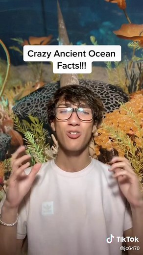 Exploring the Strange Wonders of the Ocean