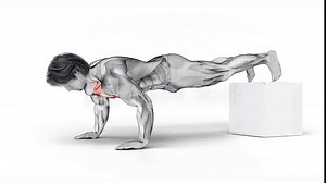Chest-Bodyweight-Decline Push Up-3D (366)- Anatomy of fitness and bodybuilding with distinct active muscles- 150 frame Animation + 150 frame Alpha Matte