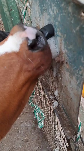 Credenda Wedding Venue on TikTok