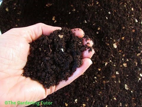 Mulch vs Compost by The Gardening Tutor-Mary Frost