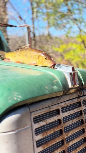 Custom Diesel Truck Parts and Upgrades