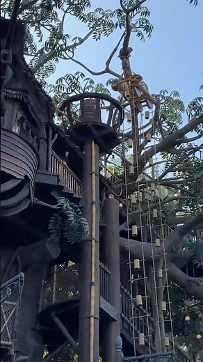 Disneyland My Birthday 2025 Adventureland New Orleans Square People Watching Walking Walt Disney Fun