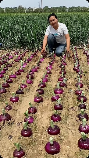 Technology • Gadget • Tools on Instagram