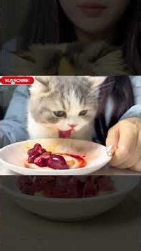 I'm having rabbit heart from Treetree for supper tonight!