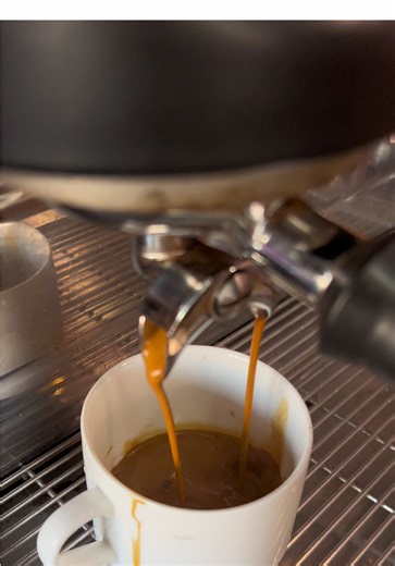 Students Enhance Skills with Codarto