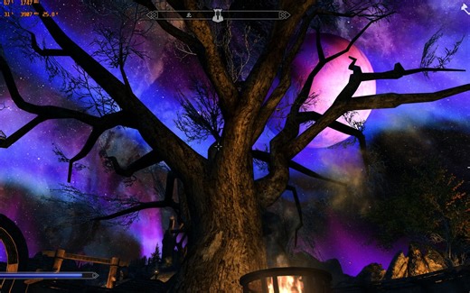 上古卷轴5重制版mod，低配向，新手全天际无死角60帧的流畅体验