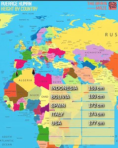 94K views · 452 reactions | Average Human Height by Country - In this video, we explore the fascinating differences in average human height worldwide! We've selected seven countries — from those with the shortest average height to those with the tallest. | The Brain Maze | Facebook