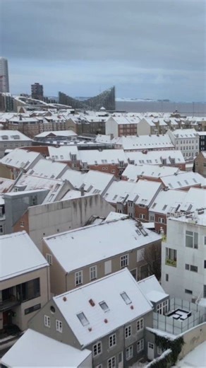 Aarhus Denmark in winter ❄️☃️🇩🇰 #discoveringdenmark #reelsviralvideo #weather #winter #aarhus | Discovering Denmark World