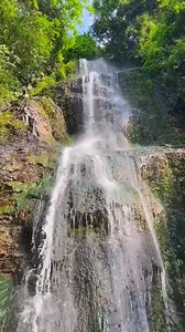 2.9K views · 99 reactions | Unique Cooking Style  | ﻿Trending | Facebook