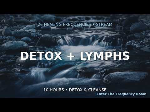 Detox + Lymphs Frequencies | 10 Hours | Enter The Frequency Room