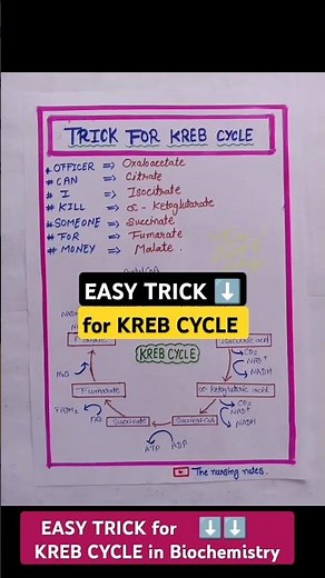 Kreb Cycle biochemistry | tca cycle biochemistry | kreb cycle |tcacycle #krebcycle #tcacycle #shorts