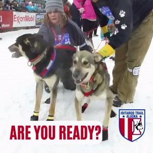 1.6K views · 129 reactions |  THE IDITARIDER AUCTION IS OPEN NOW!...