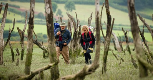 The Salt Path is Scientology for the middle classes