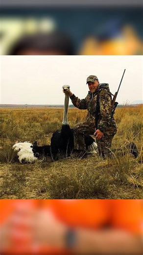 philosophy of ostrich | jatin sir economics #shorts #reels #philosophy #ostrich #story #jatinsir