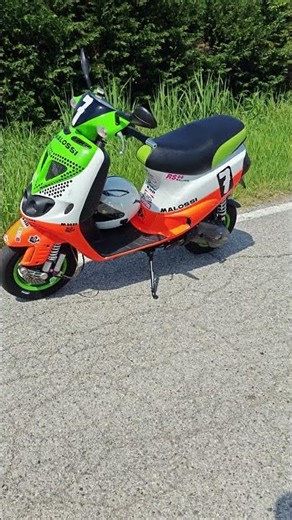 Zip Sp 172 Malossi MHR (Scootertube St-180r & kit alimentazione Farotube FT)
