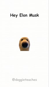 51K views · 2.9K reactions | Doggie Explains How the Rich Stay Rich...