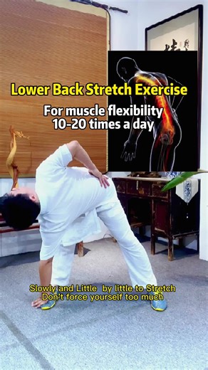Improve your back flexibility. #TaiChi #太极拳 #QiGong #气功 #Meditation #kungfu #功夫 #martialarts #TaiChiQuan #healthylifestyle #relax
