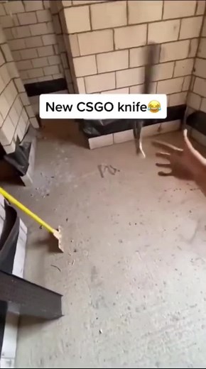 spider_slack no TikTok