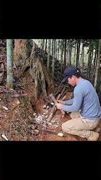 Hidden Survival Bunker Built Under a Massive Tree (Solo Bushcraft) #buildcraft #survival #camping