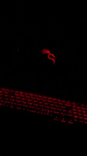 What I Learned from Mastering Kali Linux in Just One Month