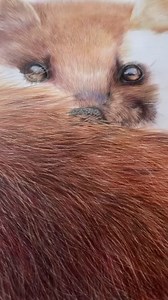 17K views · 456 reactions | Who else loves the slice tool? I think...