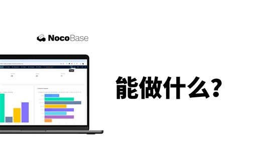 开源无代码/低代码开发平台NocoBase，究竟能做什么？