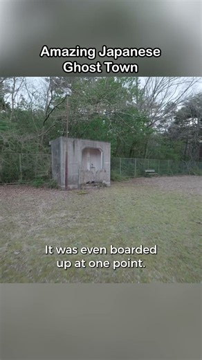 Aokigahara exploration: Hidden gate 🌲