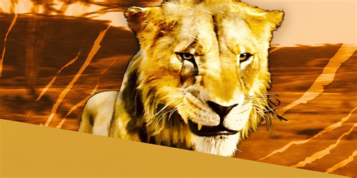 Mufasa: The Lion King: Ending Explained