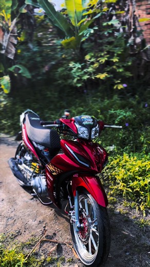 Candu: Exploring the Unique Features of Jupiter Z1