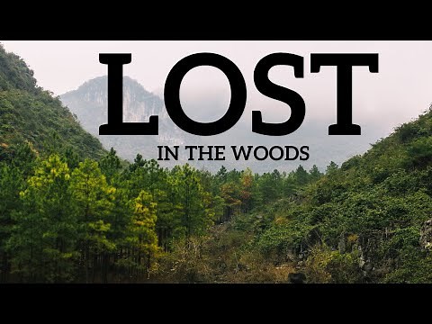 Writing Prompt: Lost in the Woods