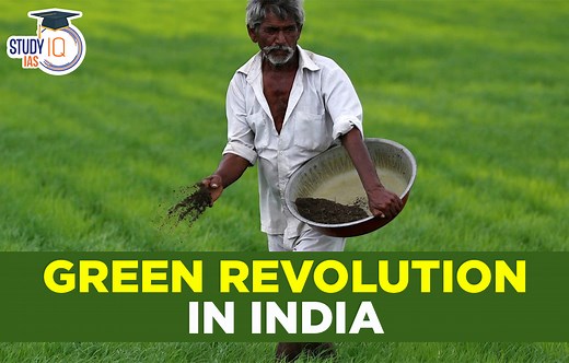 Green Revolution in India Advantages, Impacts, Achievements