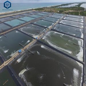 [Hot Item] PVC HDPE Geo Membrane Liners Smooth Geomembrane Liner for Aquaculture