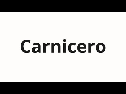 How to pronounce Carnicero