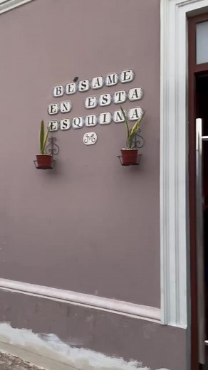 #MERIDA🇲🇽 Behind the scenes at @micaelamarylena by @vidal_em & @nacifo 🔥 #OnThePass @rebodeanda 👀 Full reportage soon 😎 For more via #stories @yucatanturismo The Land of Infinite Colors & Tastes ❤️💜💛🧡🖤💚💙🤍#Thebestchefawards #Seeyouinyucatan #visityucatan #yucatániscolors | The Best Chef