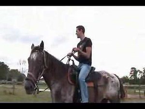 Clay's first ever time on a horse from the gay real world