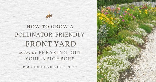 How to Grow a Pollinator-Friendly Front Garden Without Freaking Out Your Neighbors