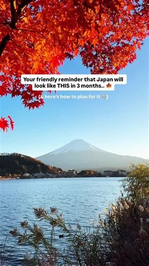 Planning a trip to Japan in Autumn?🍁 We visited in November and it was absolutely stunning - golden leaves, crisp mornings and clear weather! Here’s how to plan your Japan trip in Autumn: 📅 Best time to go Autumn colours start from late Oct, but peak in most places from early to mid November - depends on the region! ✈️ Book early Start planning your trip now, Flights and hotels can sell out fast during this season. 📍 Best places for Autumn leaves Kyoto (literally everywhere), Tokyo parks, Mou