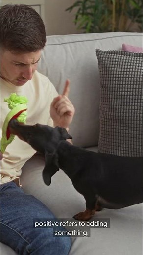 Positive vs Negative Reinforcement. What’s the Difference?