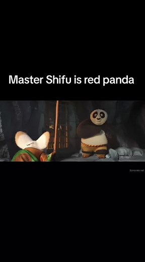 Master Shifu: The Red Panda of Kung Fu Panda 4